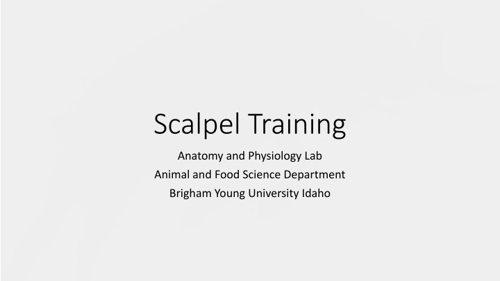 Proper Scalpel Techniques in Anatomy Lab