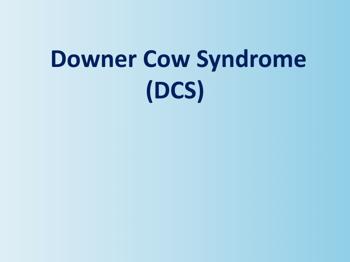 Downer Cow Syndrome (DCS) in Cattle