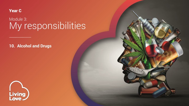 Alcohol and Drugs: Perspectives and Decisions