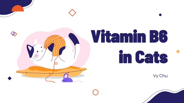 Vitamin B6 Levels in Cats: Correlation with Age and Body Condition Score