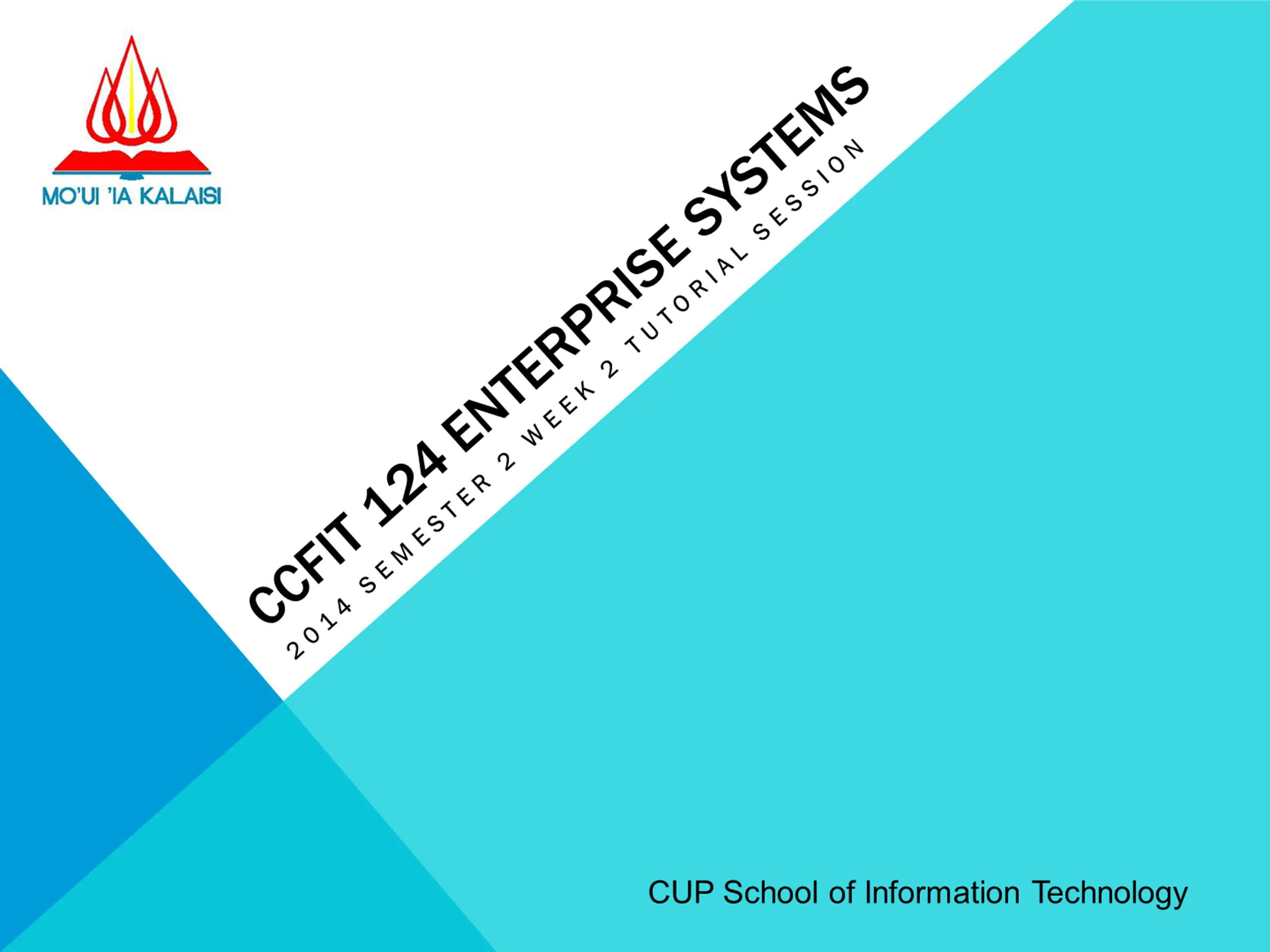 CCFIT 124 Enterprise Systems