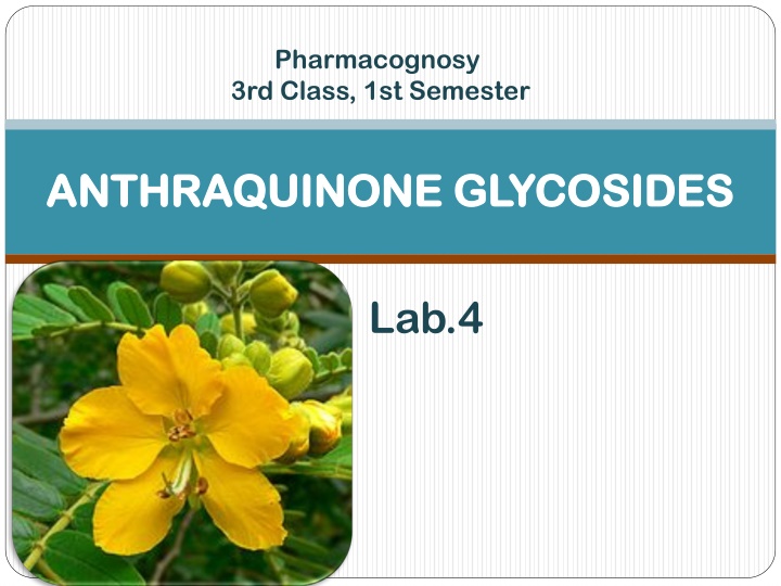 Anthraquinone Glycosides: Pharmacognosy Insights