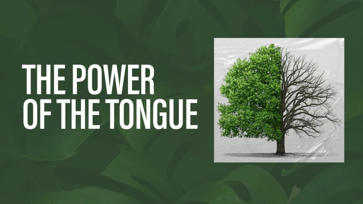 Wisdom of the Tongue: Proverbs and James
