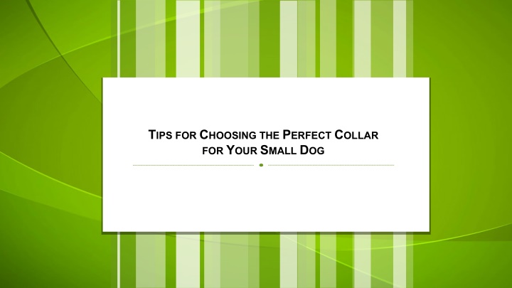 t ips for c hoosing the p erfect c ollar n.w