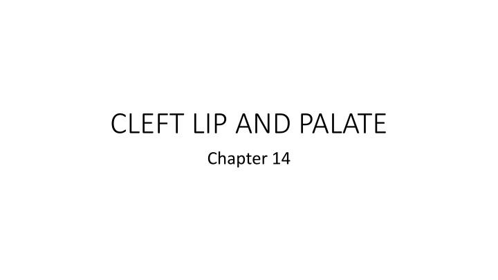 Cleft Lip and Palate: Causes, Effects, and Management