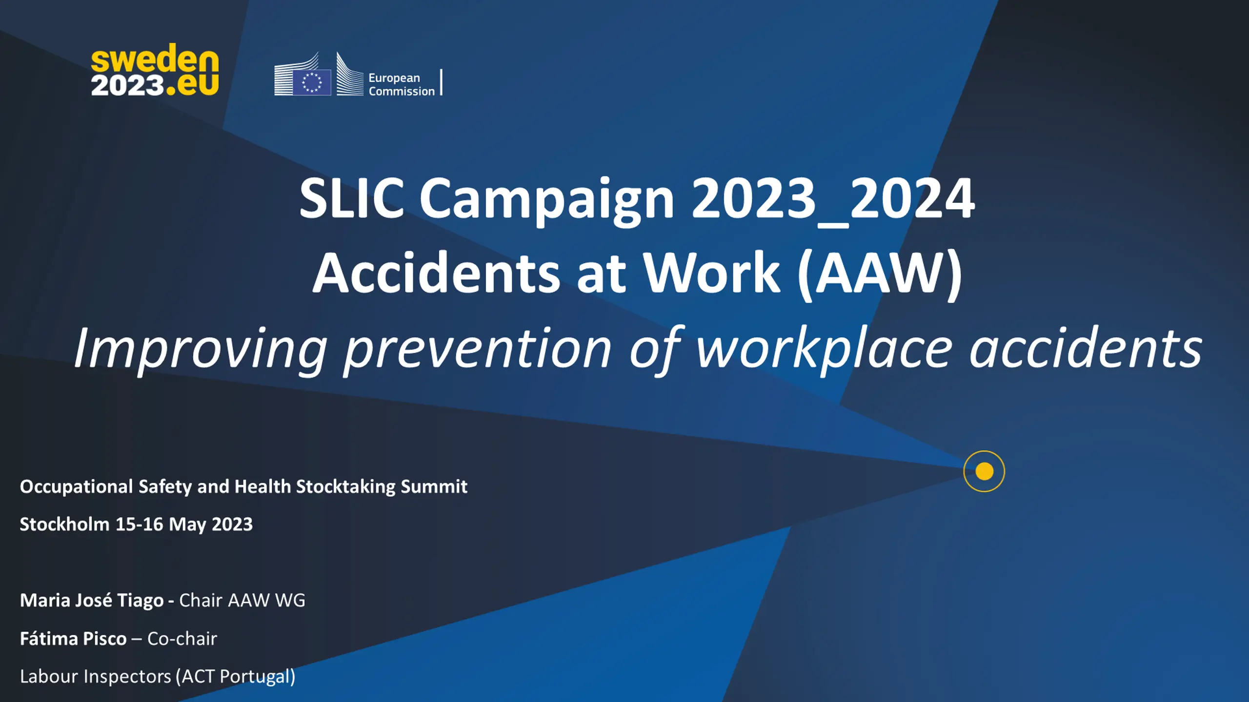 SLIC Campaign 2023_2024 Accidents at Work (AAW)