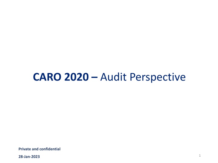 caro 2020 audit perspective n.