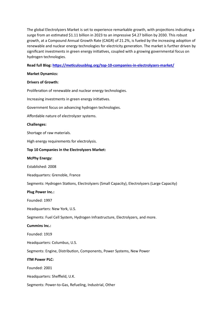 the global electrolyzers market n.w