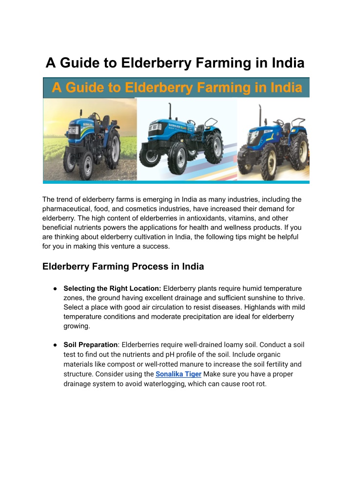 a guide to elderberry farming in india n.w
