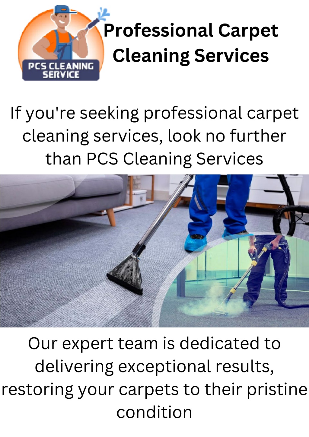 professional carpet cleaning services l.w