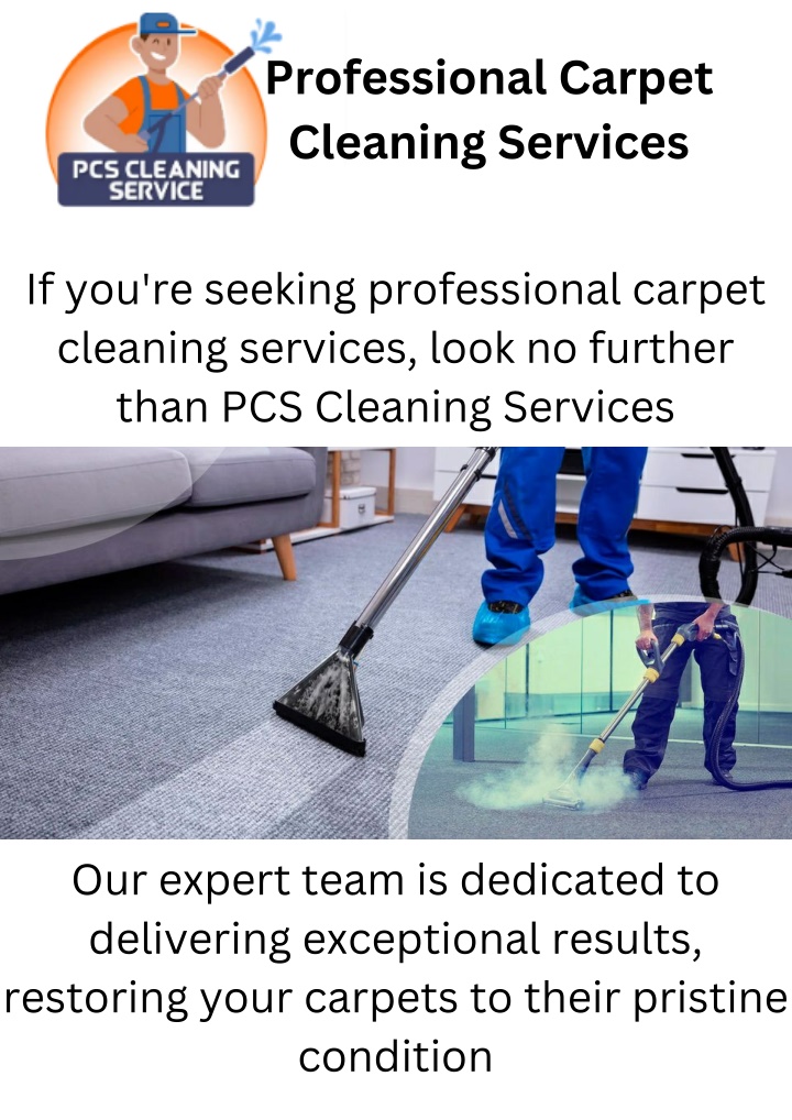 professional carpet cleaning services n.w