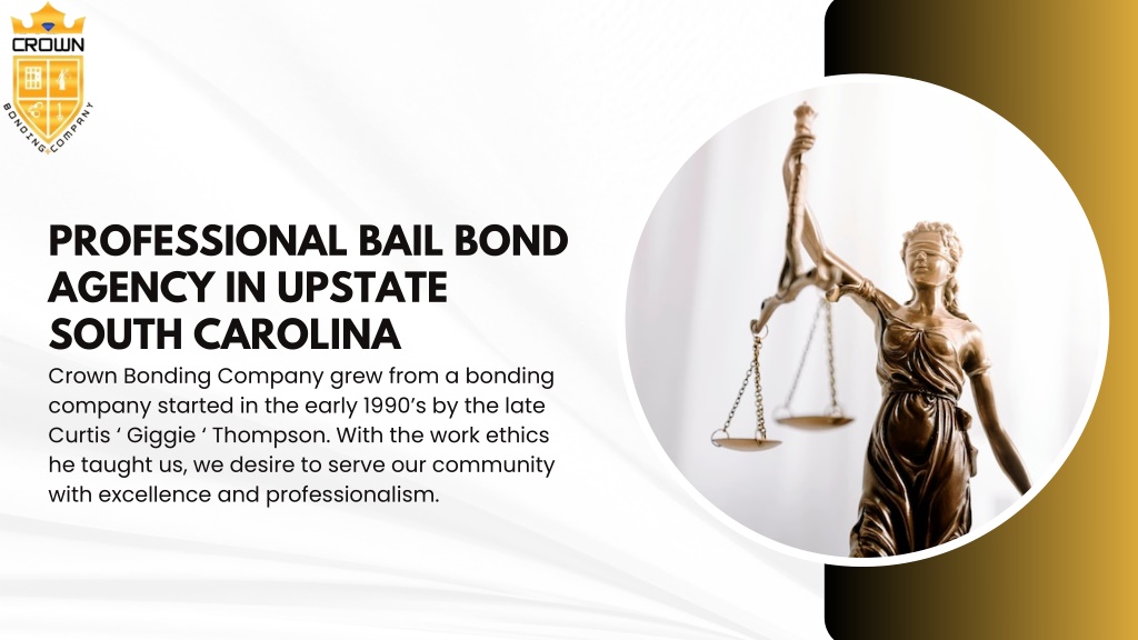 professional bail bond agency in upstate south l.w