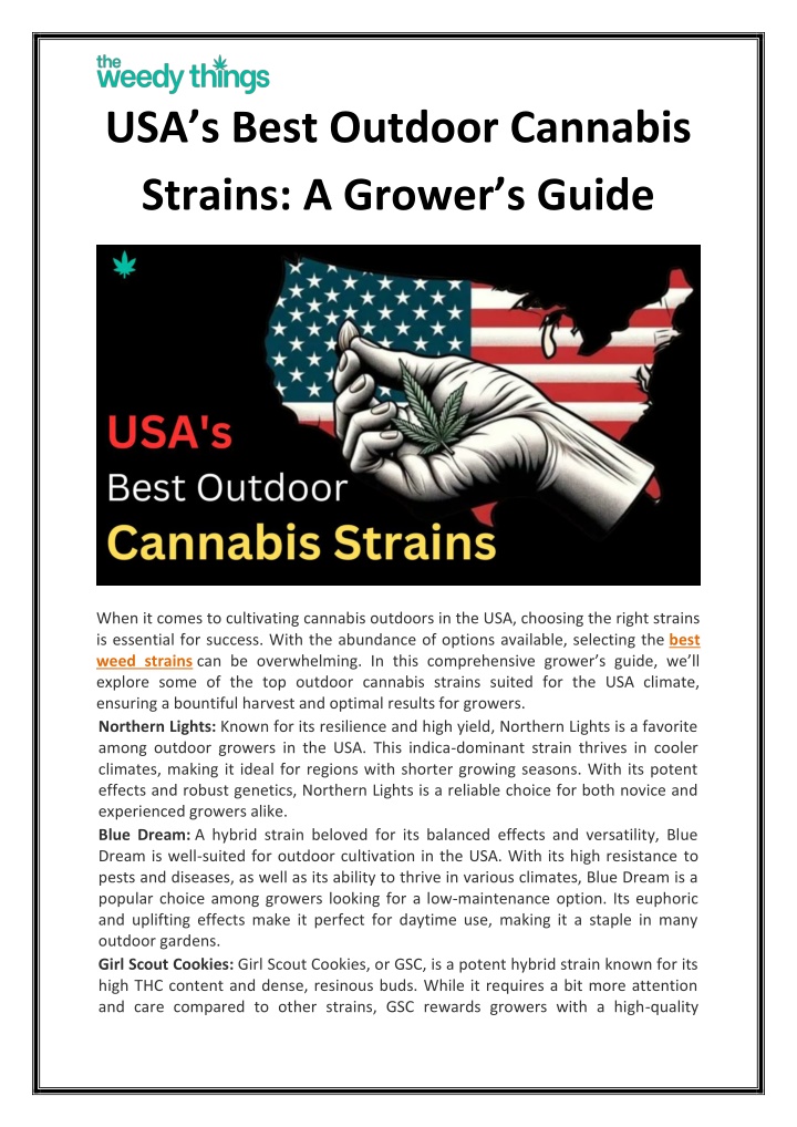 usa s best outdoor cannabis strains a grower n.w