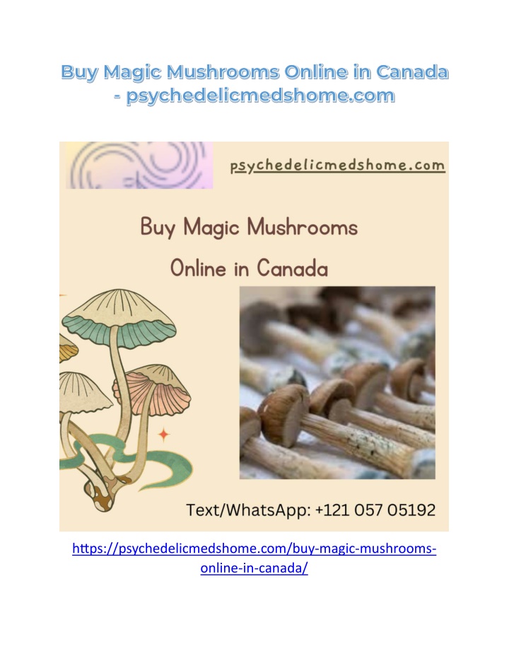 https psychedelicmedshome com buy magic mushrooms n.w