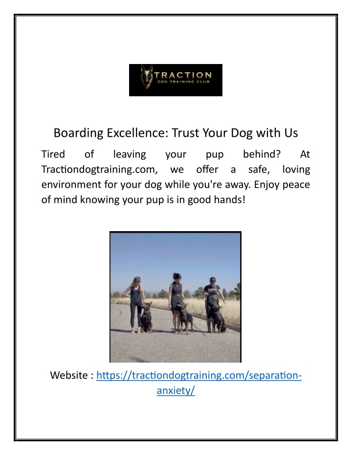 boarding excellence trust your dog with us n.w