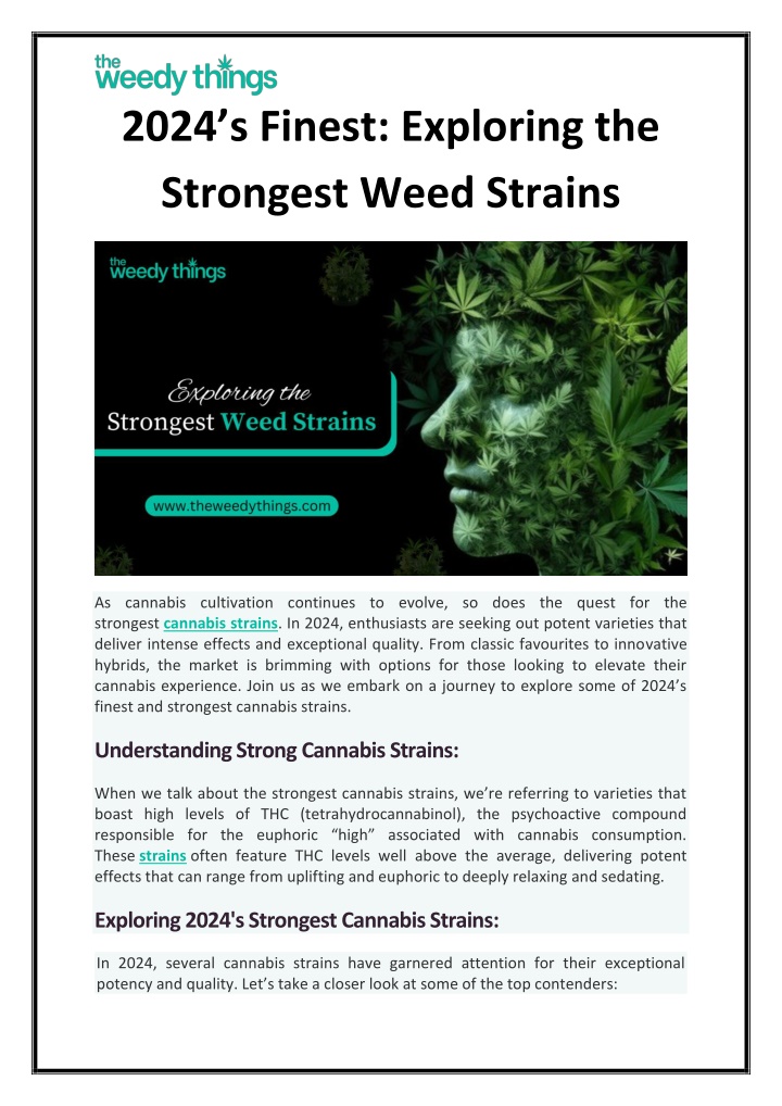 2024 s finest exploring the strongest weed strains n.w