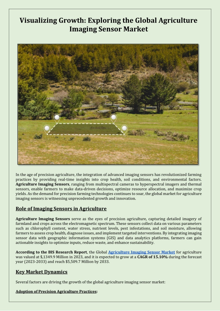 visualizing growth exploring the global n.w