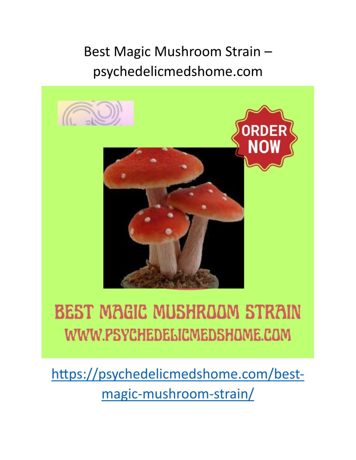 best magic mushroom strain psychedelicmedshome com n.w