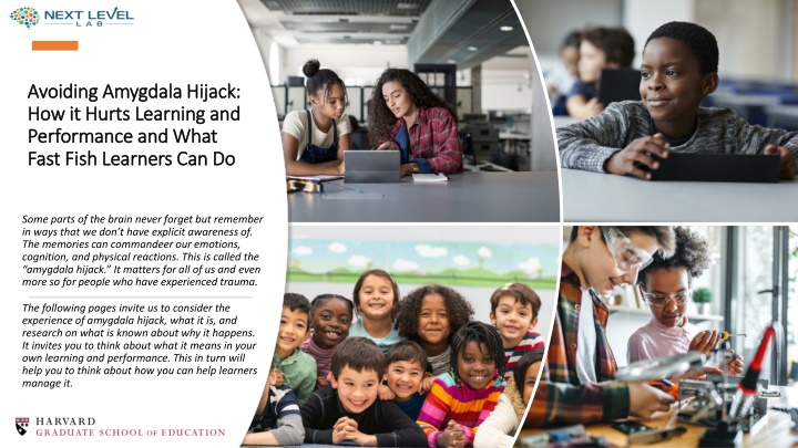 Amygdala Hijack: Impact on Learning and Performance