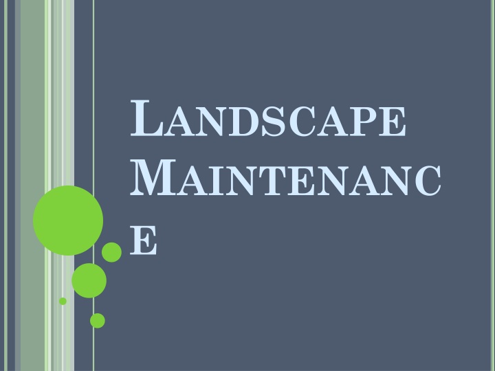 Essential Tips for Proper Tree Care and Maintenance