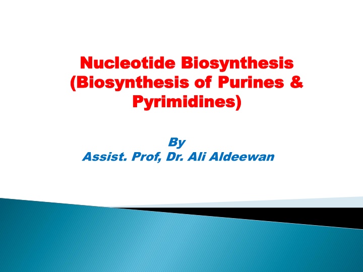 Nucleotide Biosynthesis and Nucleic Acids