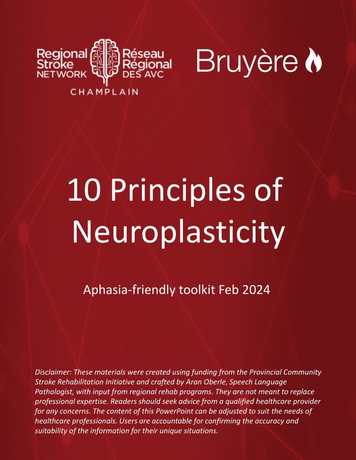 Neuroplasticity: 10 Principles for Brain Rehabilitation
