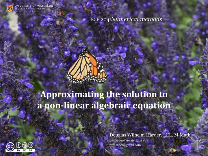 Approaches for Approximating Non-Linear Equations