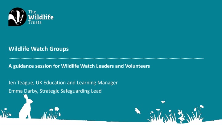 Wildlife Watch Groups Guidance Session for Leaders and Volunteers