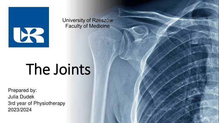Joints and Their Classification in the Human Body