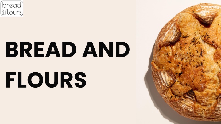 Savor the Flavor: Authentic Sourdough Bread Bakery