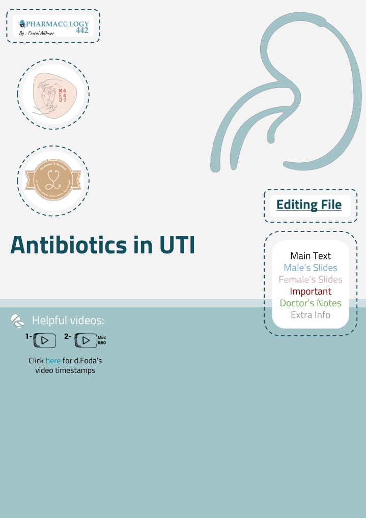 Urinary Tract Infections (UTIs) and Antibiotics: A Comprehensive Overview