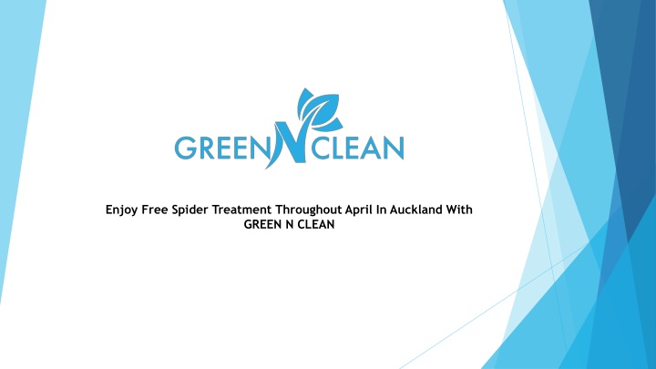 Enjoy Free Spider Treatment Throughout April In Auckland With GREEN N CLEAN-
