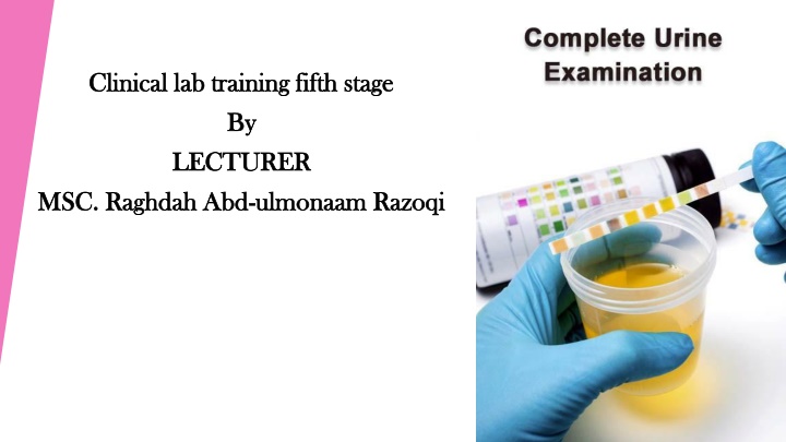 Urinalysis: Importance and Interpretation