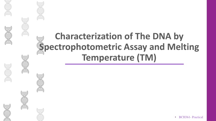 Comprehensive DNA Characterization Methods in Molecular Biology