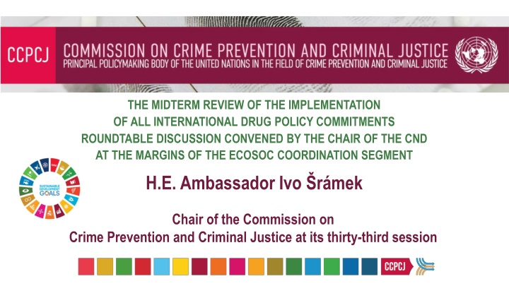 Roundtable Discussion on International Drug Policy Commitments Midterm Review