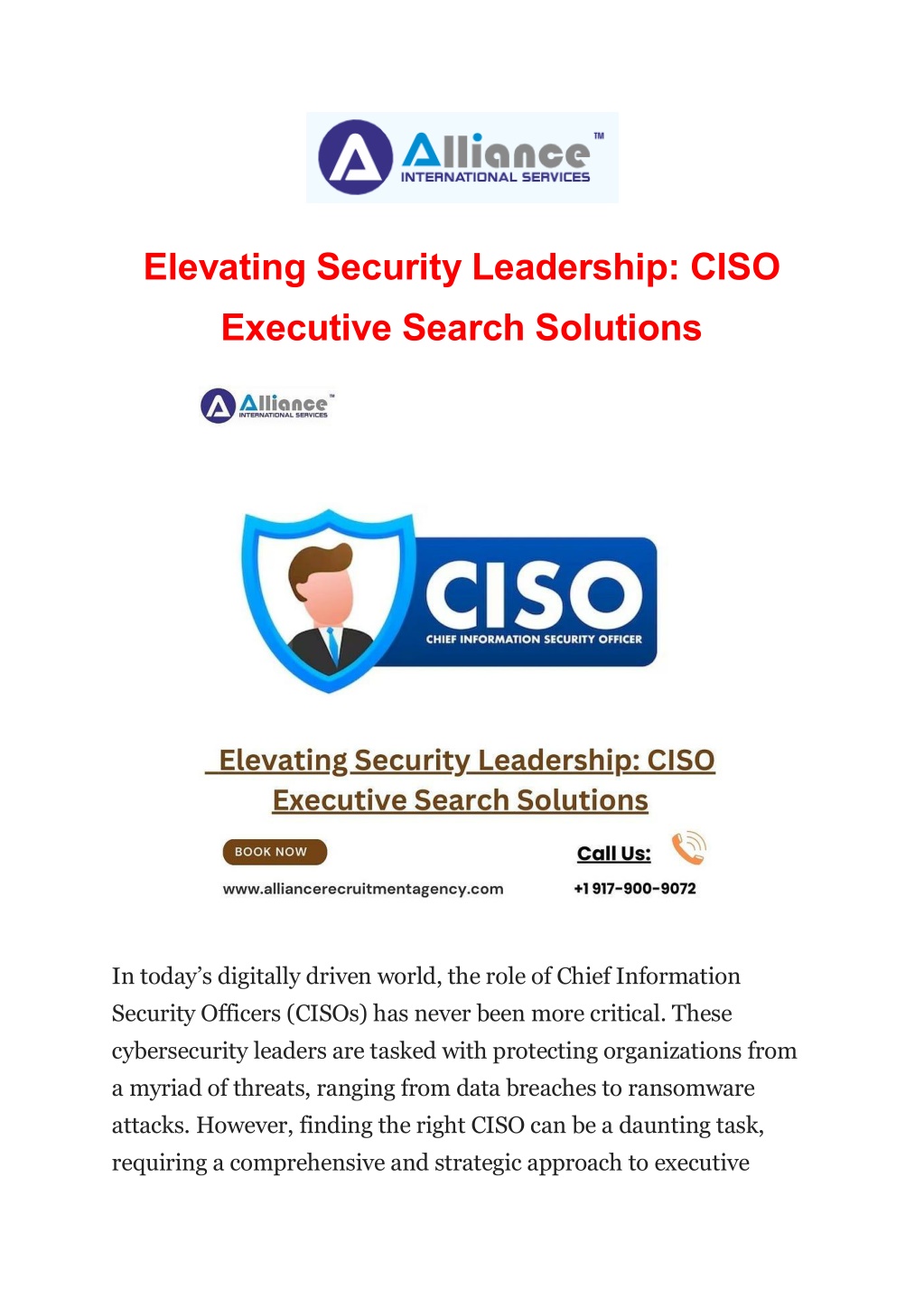 elevating security leadership ciso executive l.w