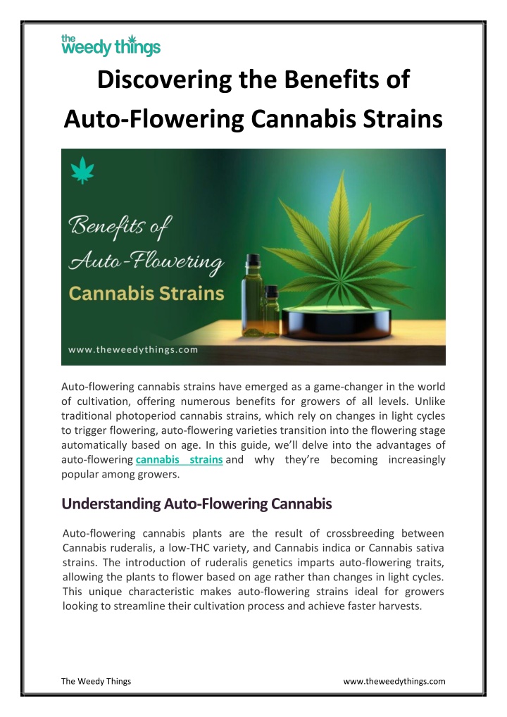 discovering the benefits of auto flowering n.w