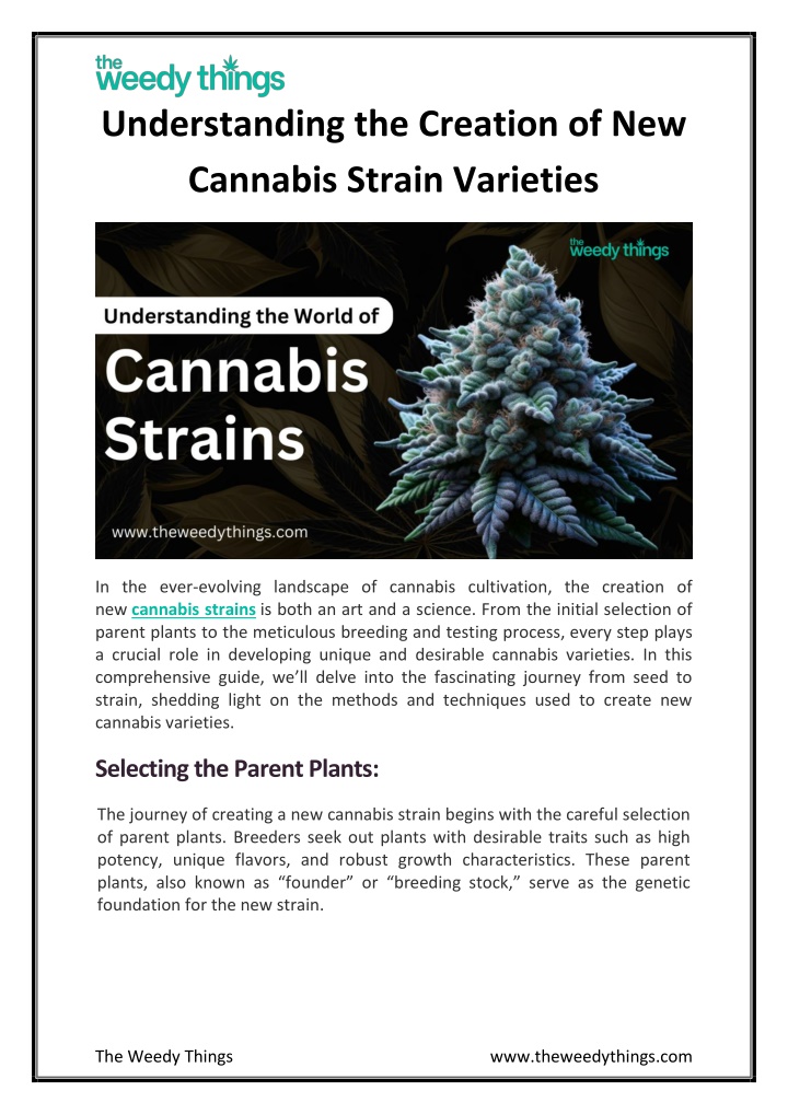 understanding the creation of new cannabis strain n.w