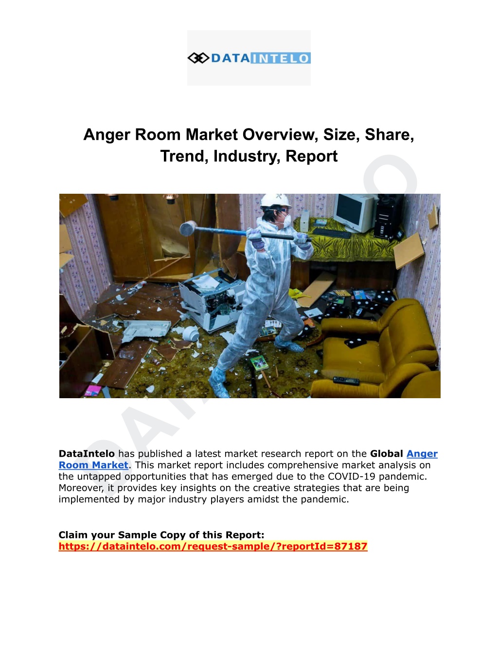 anger room market overview size share trend l.w