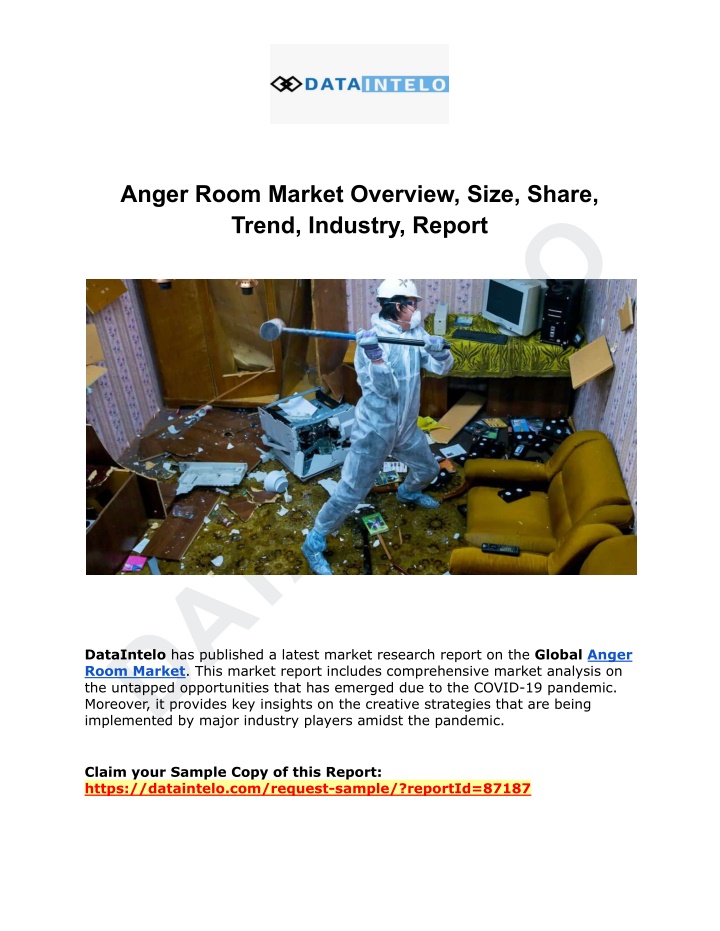 anger room market overview size share trend n.w