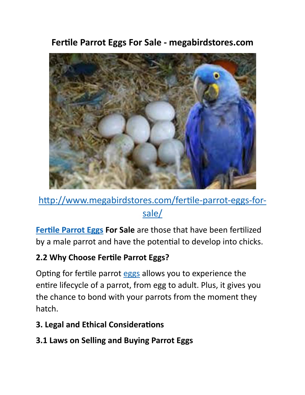 fertile parrot eggs for sale megabirdstores com l.w