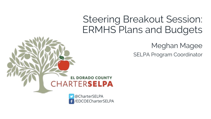 ERMHS Programs and Funding