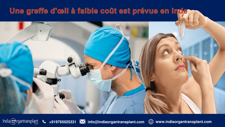 Une greffe d'œil à faible coût est prévue en Inde