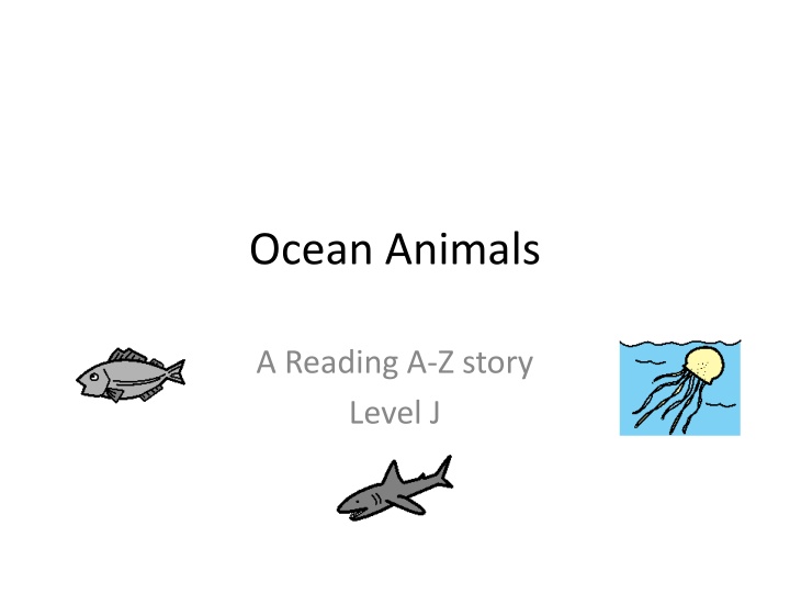 Fascinating Ocean Animals: Discover the Wonders of Marine Life