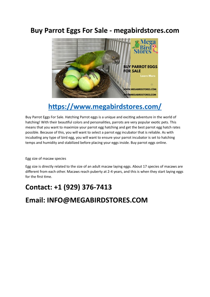 buy parrot eggs for sale megabirdstores com n.w