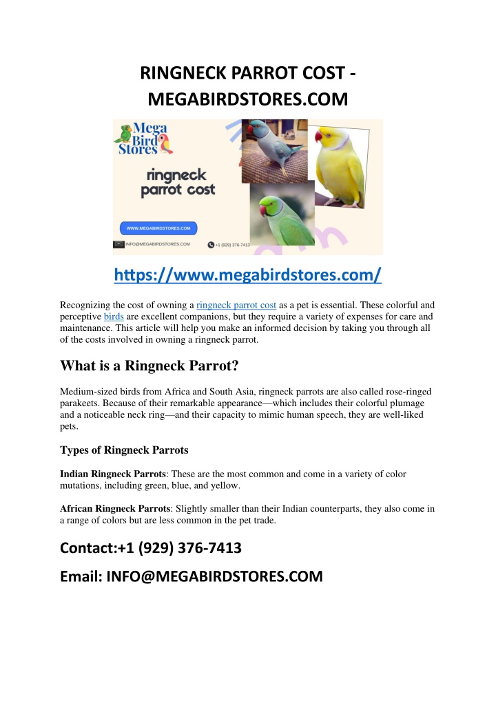 ringneck parrot cost megabirdstores com n.w