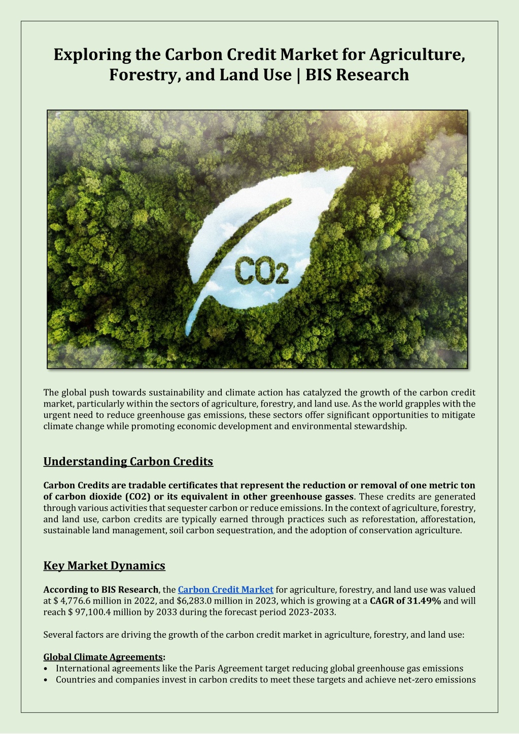 exploring the carbon credit market l.w