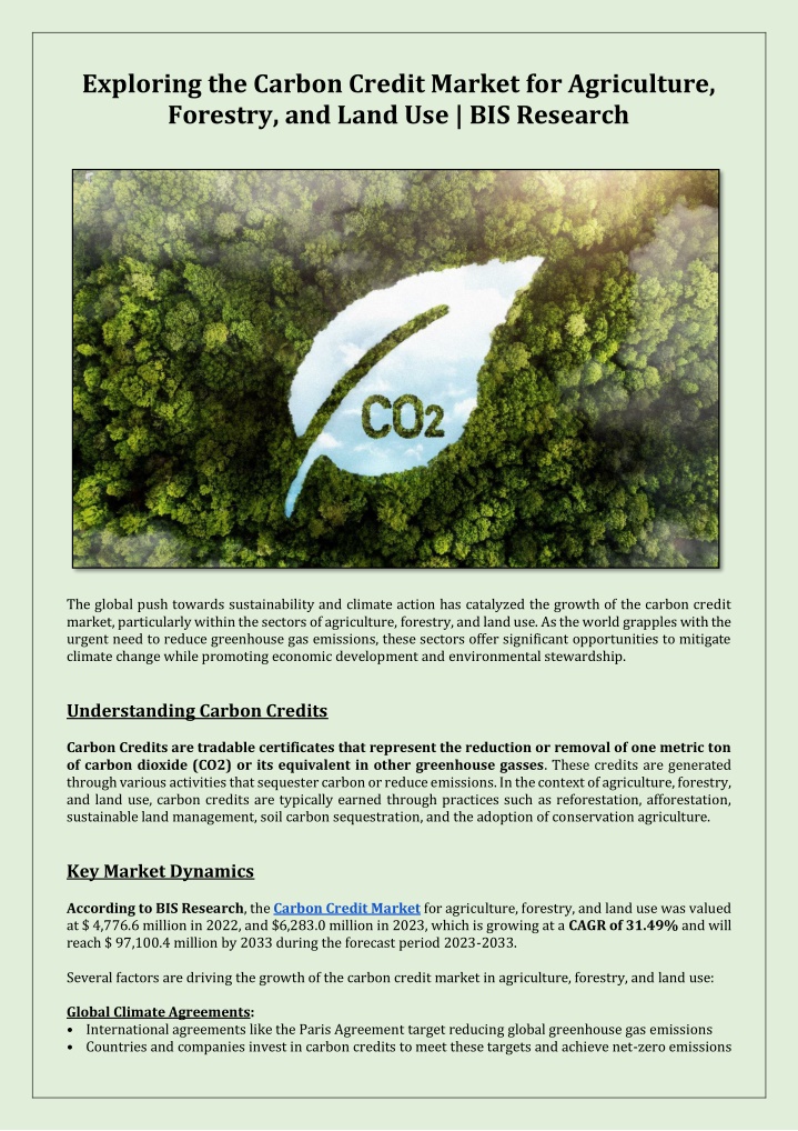 exploring the carbon credit market n.w