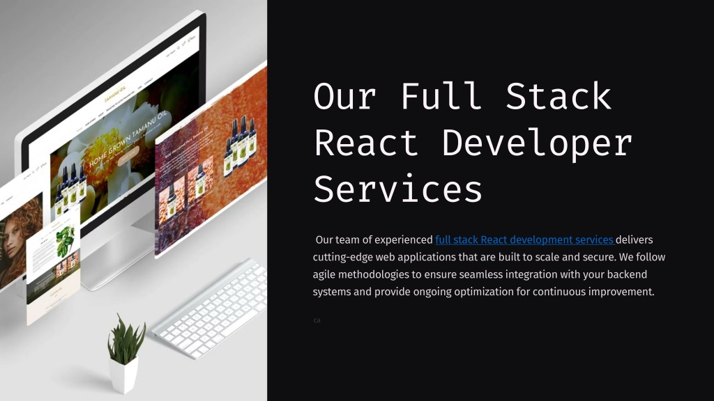 our full stack react developer services l.w