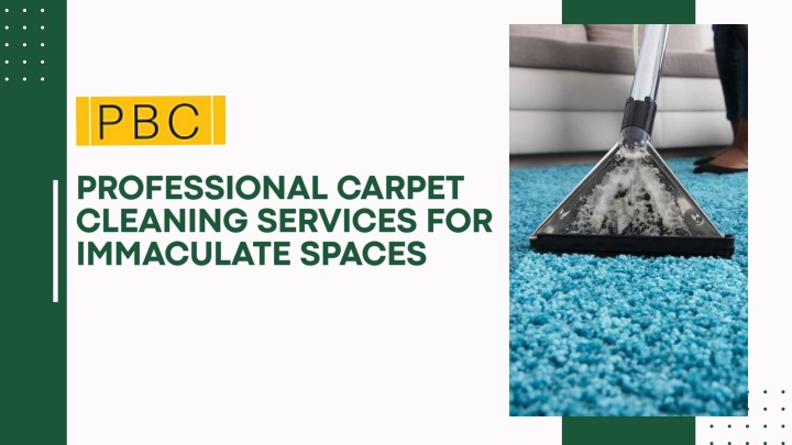 Professional Carpet Cleaning Services for Immaculate Spaces